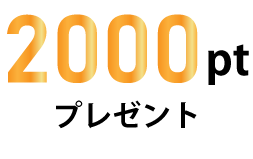 1000pt